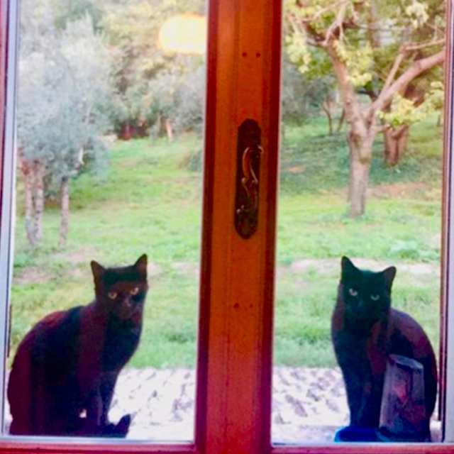 Gemma and Gemmi - Gemini Twins